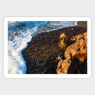 Diving Helmet And Seafoam Sticker